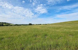 Daly, Palermo, CA 95966