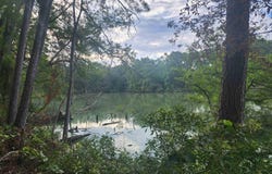 371 County Road 4152, Pittsburg, TX 75686