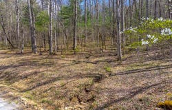 306 Cedar Creek Farm Rd, Tuckasegee, NC 28783
