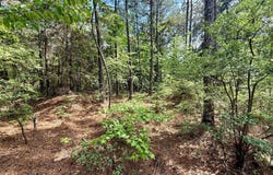 130 Doyston, Simsboro, LA 71275