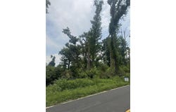Mccreight Road, Johnston, SC 29832