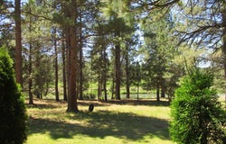 14914 Sprague River Road, Chiloquin, OR 97624