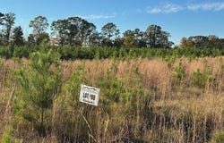 Thaxton Hills Dr. lot: 77, THAXTON, MS 38871