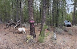 Schoonover 8, Crescent, OR 97733