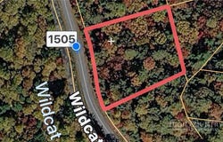 Wildcat Road, Deep Gap, NC 28618