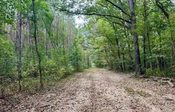 Yandell Road, Madison, MS 39110
