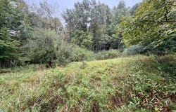Clarkson Road, Spencer, WV 25276