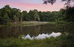 County Road 438, Elba, AL 36323