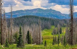Stunner Pass, Platoro, CO 81120