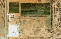 County Rd 218, Seminole, TX 79360