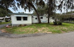 4810 Suzanne St, Zephyrhils, FL 33542