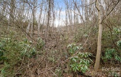 Forest Drive, Maggie Valley, NC 28751