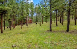 16 N1062, Greer, AZ 85927
