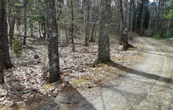 Libby Road, Jefferson, ME 04348