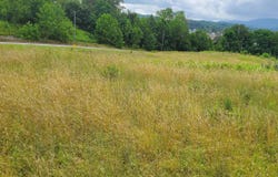 Plantation Drive, Elkins, WV 26241