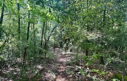 204 Mississippi 35, Raleigh, MS 39153