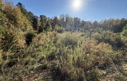 37 Saxon Road, Kingstree, SC 29556