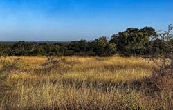 W Hwy 29, Llano, TX 78643