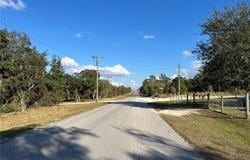 NE 69TH Lane, WILLISTON, FL 32696