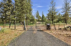 Williams Lake Rd, Cheney, WA 99004