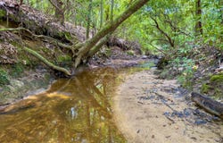 SONYAS RD, Toxey, AL 36921