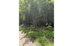 Lot # Old Commonwealth, Enfield, ME 04493