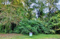 LUCILLE CIRCLE lot: 0, ROANOKE, AL 36274
