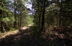 Tract 1 Simpson Road, Urbana, MO 65767