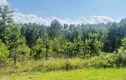 00 Geier W 14 Highway, Mountain View, AR 72560