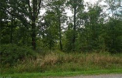 Lewis Road, Pierpont, OH 44082