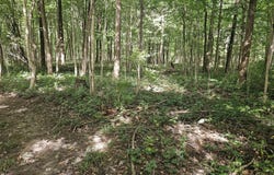 4078 E St. Rd. 28, Tipton, IN 46072