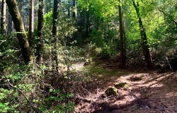 17325 Fernbrook, Middletown, CA 95461