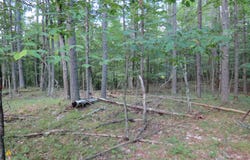38 Algonquin Lane, Jay, NY 12941
