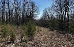 Horton Hill Road, Mountain View, AR 72680