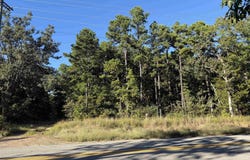 8393 Hwy 254 E, Dennard, AR 72629