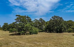1046 State Highway 71, West Point, TX 78963
