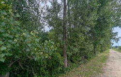 Shenfield Road, Turner, MI 48765
