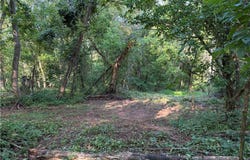 Fisher Ridge Rd, Tract 5, Fleming, OH 45729