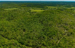 Private Road, Drury, MO 65638