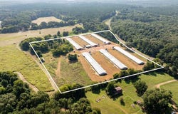FM 130, Linden, TX 75563