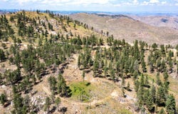 Stratton Park Rd, Bellvue, CO 80512