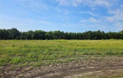 Hayfield Court, Paris, TX 75460