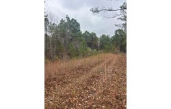 County road 151a, RANDOLPH, MS 38864