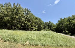 665 Meng Street, Greenfield, MO 65661