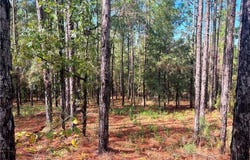 State Highway 225, Bay Minette, AL 36507