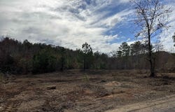 2 MOUNTAINSIDE DRIVE lot: 2, WEST BLOCTON, AL 35184