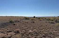 5 U.S. 180, Concho, AZ 85924