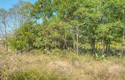 E 3390 Road, Chandler, OK 74834