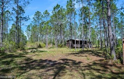 Carter Street, Bunnell, FL 32110