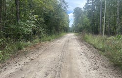 Jasper Ln, Summerton, SC 29418